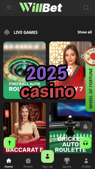 2025 Casino - Future of Online Casino Gaming-casinobuddy.ydblkf.net